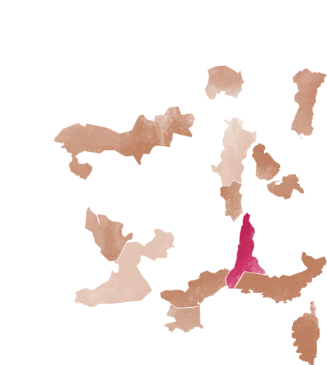 Vallée du Rhône