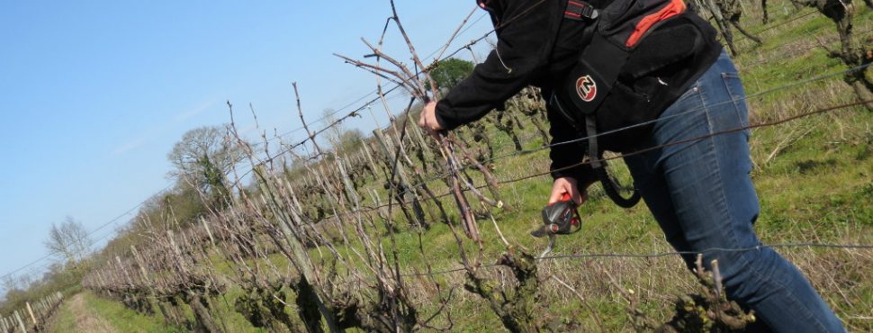 Domaine de l'Atrie-Julie Bernard-Vinibee