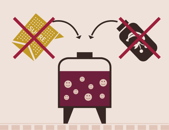 Vinification du vin naturel-Vinibee