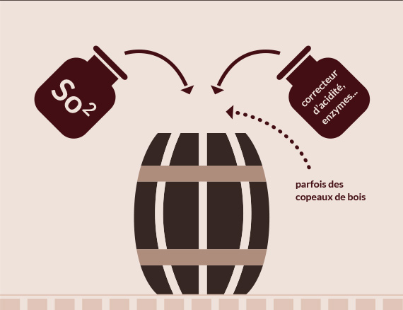 Elevage du vin conventionnel-Vinibee