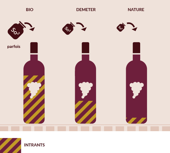 Mise en bouteille du vin-Vinibee