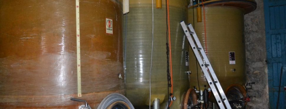 vinification-Domaine Potron Minet-Jean Sébastien Gioan-Vinibee