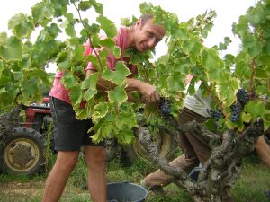 Domaine Mas de Libian-Vinibee