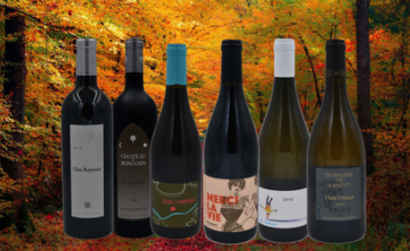 automne-Vinibee