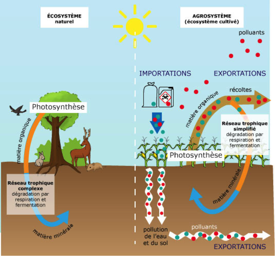 vinibee-vins-bios-biodynamiques-et-naturels-actu-vin-naturel-photo6