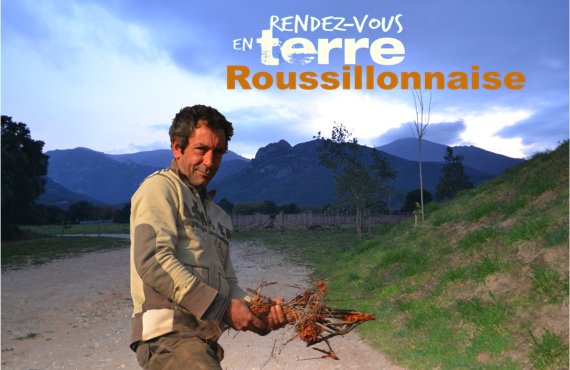 RDV en terroir inconnu-Vinibee