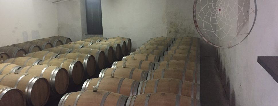 Domaine de Bablut-Christophe Daviau-Vinibee