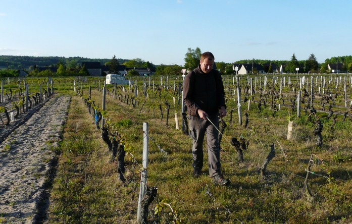 guide de la biodynamie dans le vin - Domaine Laurent Herlin - Vinibee