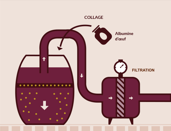 Collage et filtration du vin-Vinibee