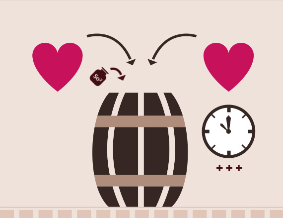 Elevage du vin-Vinibee