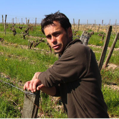 Domaine de Mirebeau - Bruno Rochard - Vinibee