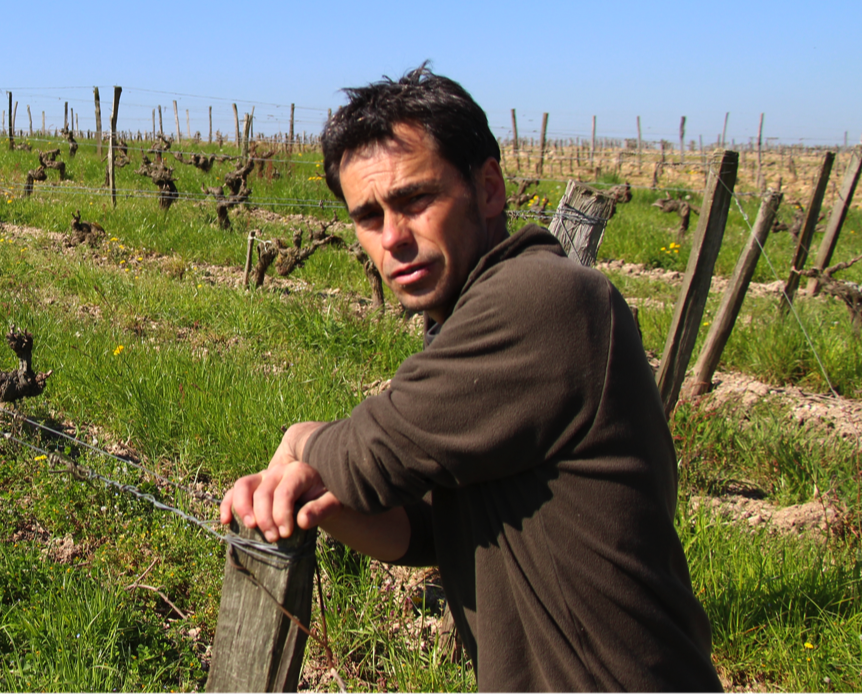 Domaine de Mirebeau - Bruno Rochard - Vinibee