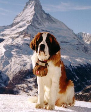 Le vin nature, c'est comme la montagne, çà vous gagne-Vinibee