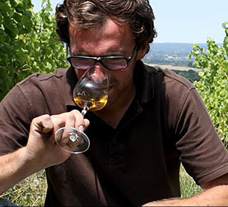 Vincent Alexis - Château Barouillet - Vinibee