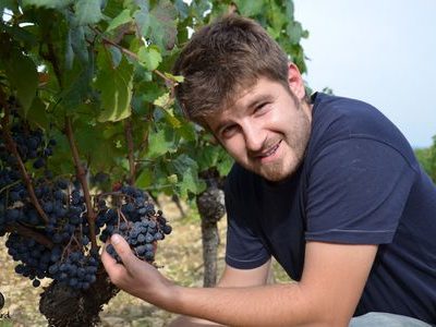 Fabien Jouves, vigneron - Vinibee