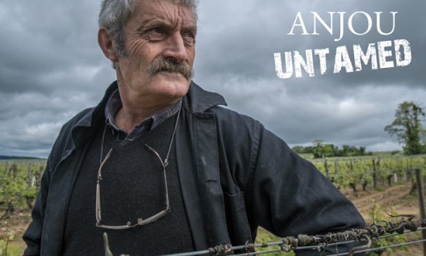 Jean-Yves Bardin - Anjou Untamed - Vinibee