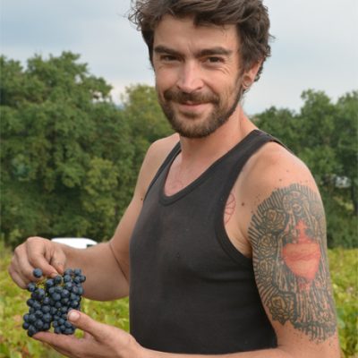 Partez à la rencontre de Sylvère Trichard, vigneron naturel en Beaujolais - portrait vigneron - Vinibee