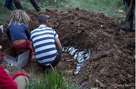 guide de la biodynamie dans le vin - Vinibee