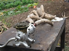 guide de la biodynamie dans le vin - Vinibee