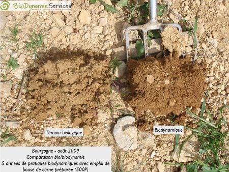 guide de la biodynamie dans le vin - Vinibee