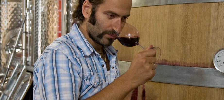 Domaine Tetramythos - Panayiotis Papagiannopoulos - Vinibee