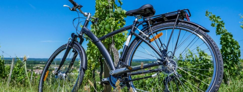 le Tour de France des Vins Naturels - Vinibee