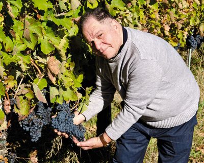 Salvatore Molettieri - Vinibee