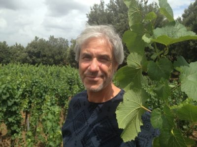 Salvo Foti - Vinibee