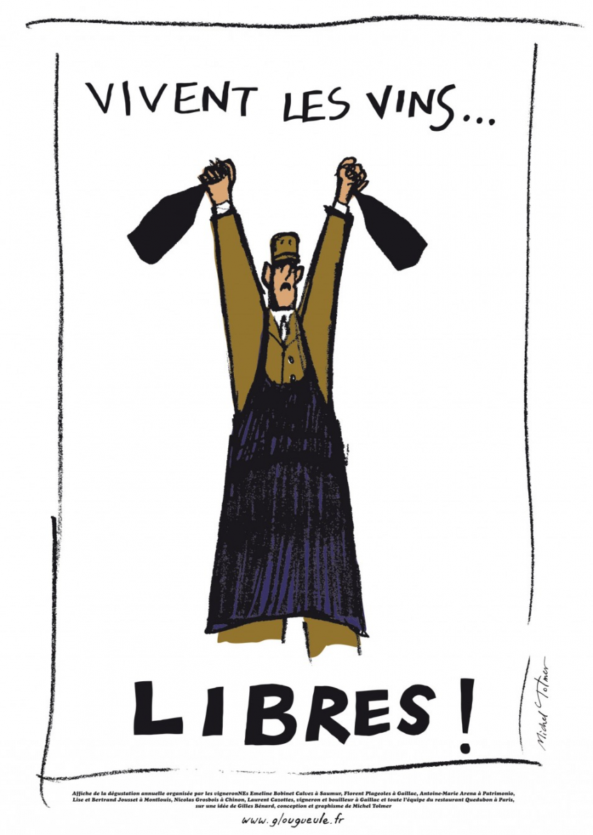 Vin naturel mode d'emploi - Michel Tolmer - Vinibee