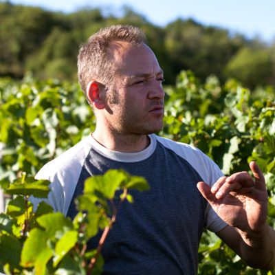 Julien Guillot - Domaine des Vignes du Maynes - Vinibee