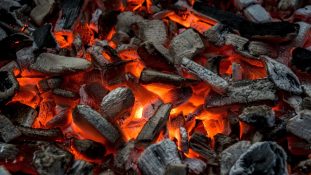 Quel vin rouge boire avec un barbecue - 6 Rouges de Braise - Vinibee