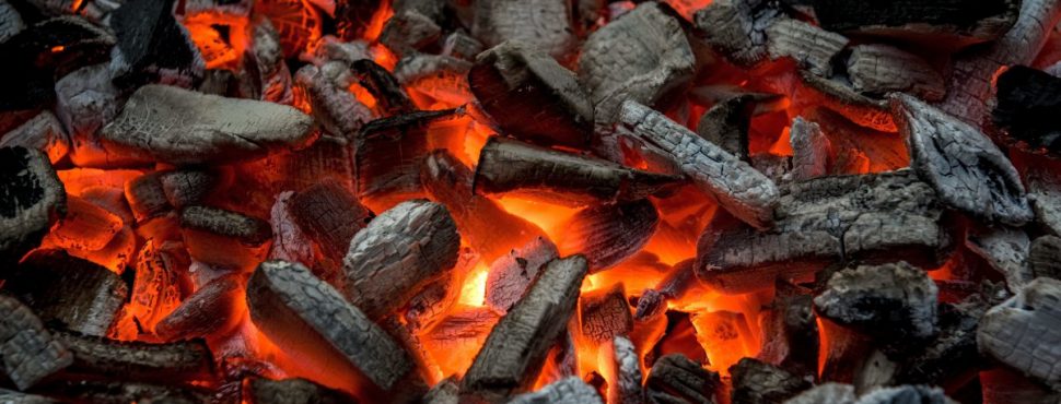 Quel vin rouge boire avec un barbecue - 6 Rouges de Braise - Vinibee