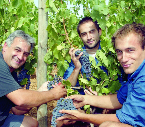 Antoine Arena - Domaine Arena - Patrimonio - Vinibee