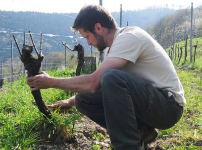 Domaine Kreydenweiss - Antoine et Marc Kreydenweiss - Alsace - vin biodynamique - Vinibee