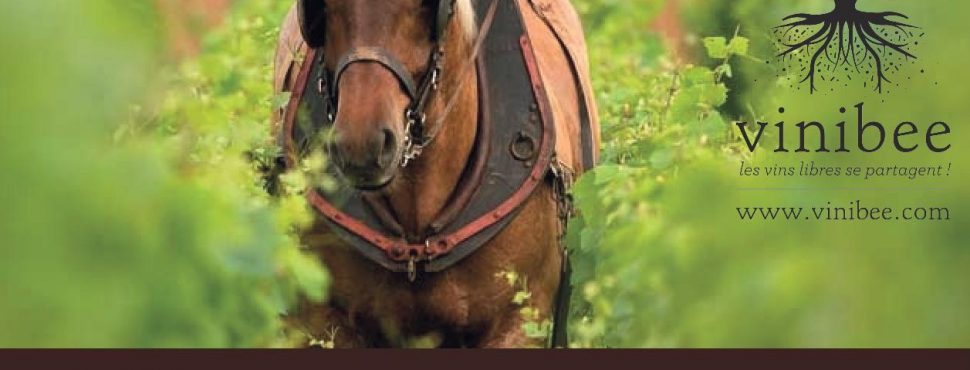 carte cadeau vin vivant - vinibee