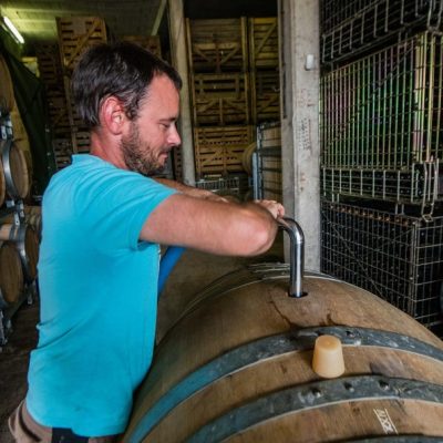 champagne bourgeois-diaz - jerome et charlotte bourgeois diaz - champagne brut non dosé - vinibee
