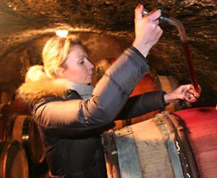 Fanny Sabre - Bourgogne - cote de Beaune - vin naturel - Vinibee