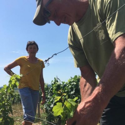 Alice et Olivier de Moor - Chablis - vin naturel - vinibee