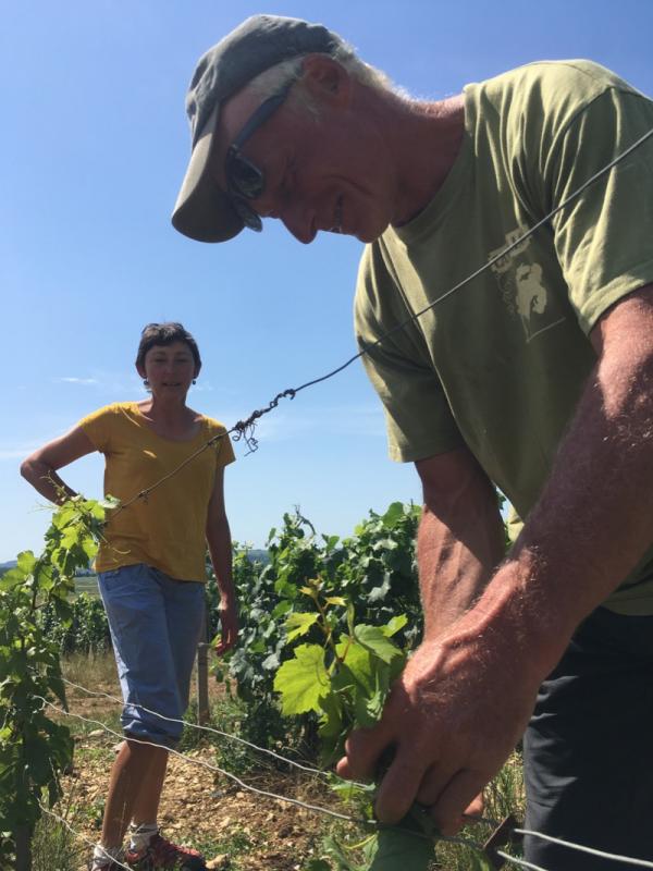 Alice et Olivier de Moor - Chablis - vin naturel - vinibee