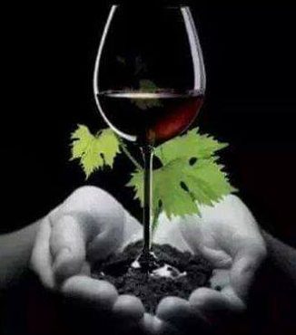 Voeux 2021 - coffret e-learning - vinibee