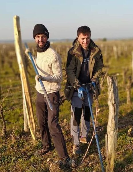 Domaine des Frères - henri et valentin bruneau - vin naturel - chinon - vinibe