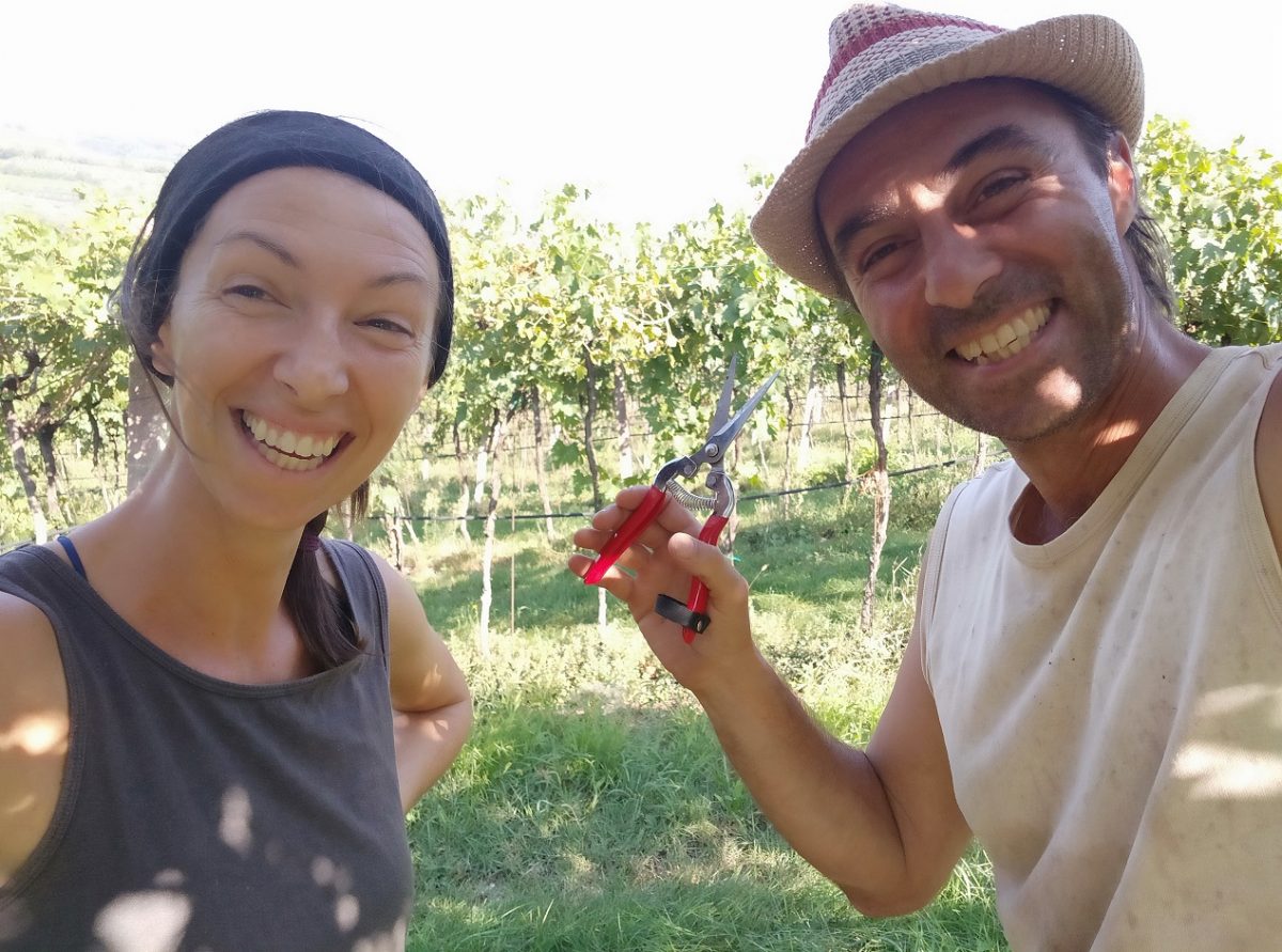 Il Monte Caro - marcolini - valpolicella - vin naturel - vin italien - vinibee