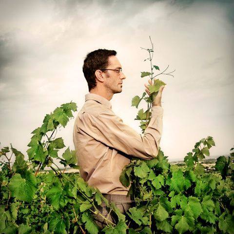 Domaine Philippe Gilbert - Menetou-Salon - vin biodynamique - vinibee