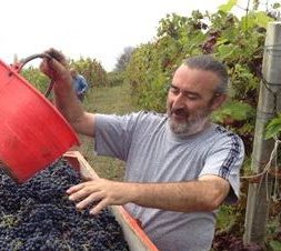 Azienda Vitivinicola Silvio Morando - Barbera del Montferrato - vin naturel - Piemont - vinibee