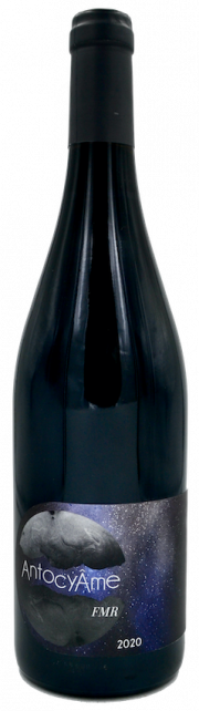 FMR - Muriel Zoldan - domaine Antocyâme - vin naturel - vinibee
