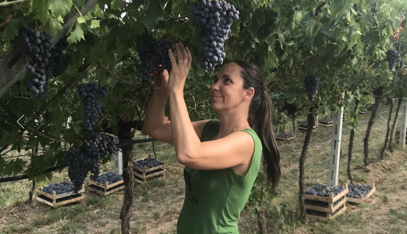 Monte Dall Ora - Carlo et Alessandra venturini - valpolicella - vinibee