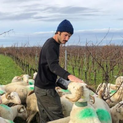 Sebastien Fezas - domaine Jean Dauge - Gers - vin naturel - vinibee