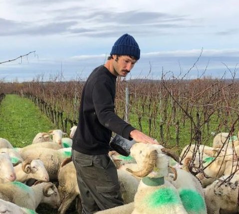 Sebastien Fezas - domaine Jean Dauge - Gers - vin naturel - vinibee