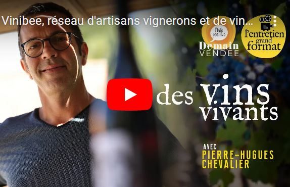 Demain Vendee - vinibee - vins vivants