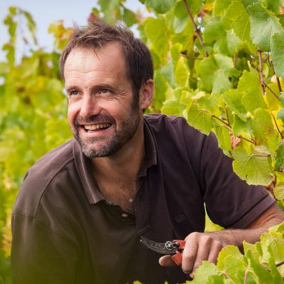 domaine eric chevalier vin bio